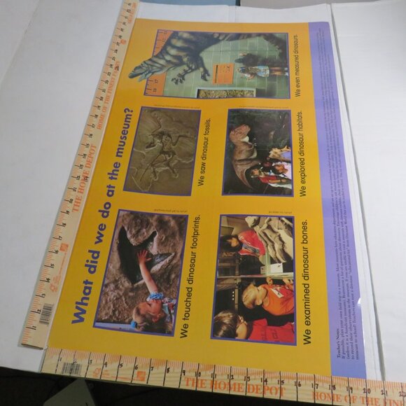 Dinosaurs & Groundhog Posters (7) EXTRA LARGE LAMINATED and non lam. Classroom - Picture 6 of 13